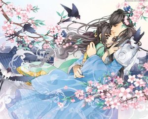 老狼在线观看免费